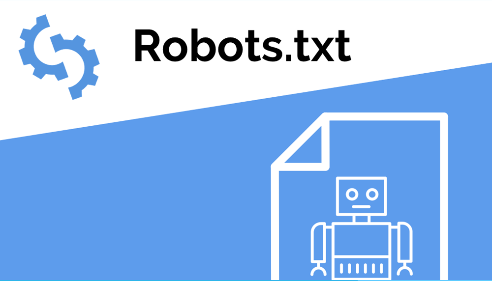 robots.txt file