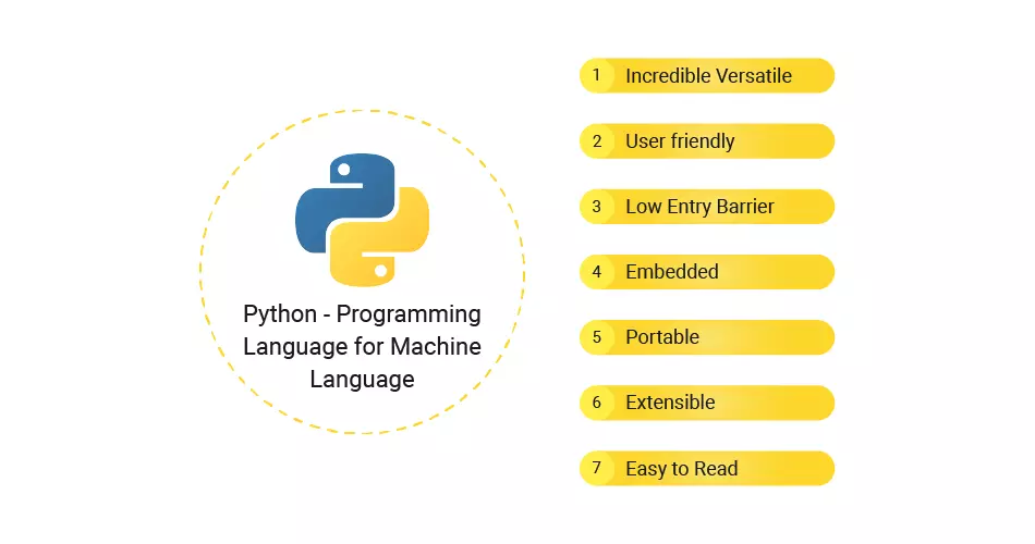 python development companies