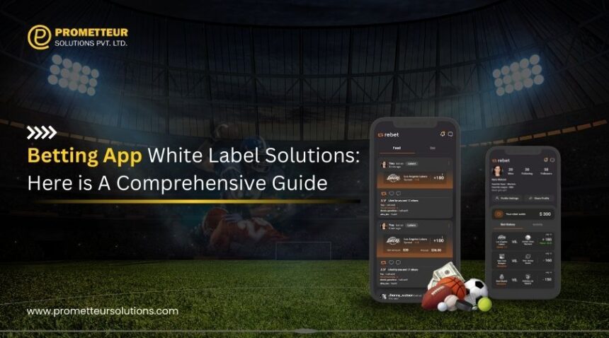 Discover a complete guide to leveraging white label solutions for your betting app.