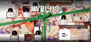 magento website design