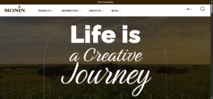 magento website design